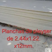 pleiser - Img 57732580