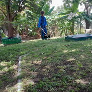 jardinería servicios, diseños y mantenimientos - Img 55458522