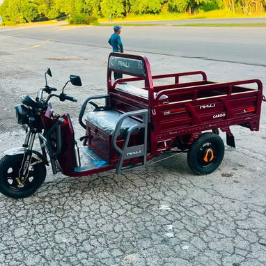 TRICICLO RALI CARGO - 2/4