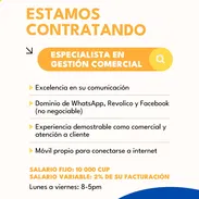 Empleo de especialista en ventas para mipyme - Img 54869299