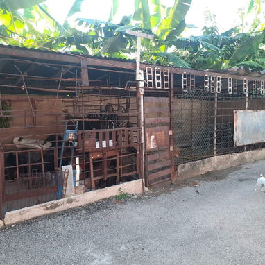 Casa en Venta en Guanabacoa - 10/10