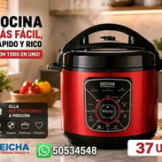 Olla Reina DEICHA 5LT - Img 57064680
