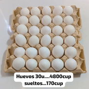 Huevos frescos 4800cup - Img 57160448