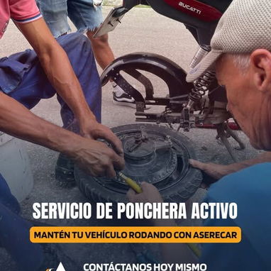 Somos Aserecar : Fregadora - Ponchera - tapicería - Img 114010690