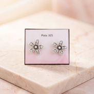 Aretes Pandora 100% Plata S925. Damos garantía 💎 - Img 55633843