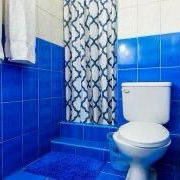 RENTO APARTAMENTO 🚨🚨🚨🚨 - Img 123101031