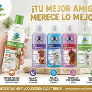 Variedad de Champú para perros - Img 56259902