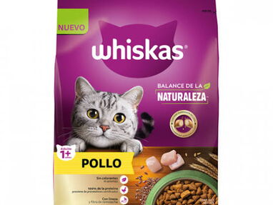 Paquetes sellados pienso para gatos y para perros Sacos de 20kg y 15kg variedad de medidas e ingredientes - Img 41143736