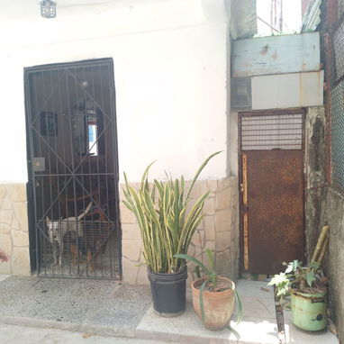 Casa en la Víbora - Img 120501935