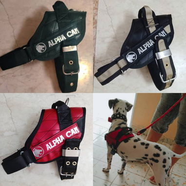 Pecheras para perros - 3/10
