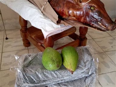Don Bello - Sabor auténtico en tu mesa...los mejores cerdos en Habana - Img main-image
