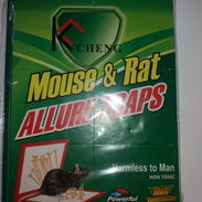 Trampas de pegamento para ratones - Img 47964838