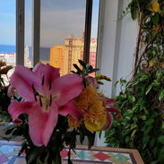 RENTA VACACIONAL EN VEDADO - Img 55137468