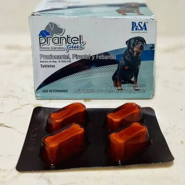 Prantel Plus - Img 106299752