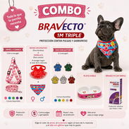 COMBO BRAVECTO+Arnés+ Comedero Doble - Img 57393915