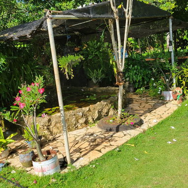 Piscina - Img 102990449