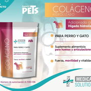 Colágeno Hidrolizado - Img 56473098