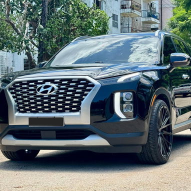 Hyundai Palisade Calligraphy 2022 - 8/10
