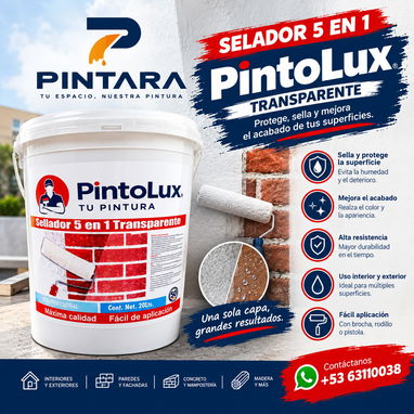 Geoali,  hizo el trabajo de diseño gráfico a PINTARA una marca de pintura y ect. - 8/10