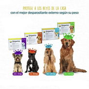 SIMPARICA PARA PERROS - Img 57451902