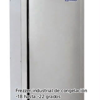 Horno Eléctrico de panadería Trifásico rotativo y Freezer Industrial de Congelación - 2/2