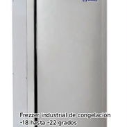 Frezzer Industrial de Congelación - Img 56928959