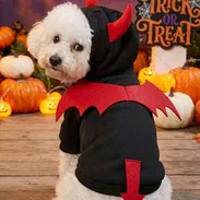Ropa para mascotas para halloween - Img 58149400