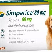 Simparica 20 a 40 kg de 80 mg 10 dólares DISPONIBLE - Img 45394479