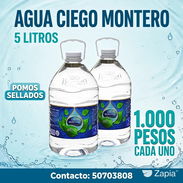 💧 Agua Ciego Montero de 5 litros Pomos sellados — 1.000 pesos cada uno. 📲 Contacto: 50703808 - Img 58480247