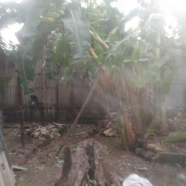 REBAJADA A $20.000usd  CON AJUSTE  En venta casa  puerta de calle con garaje en Párraga  Arroyo Naranjo. - 10/10