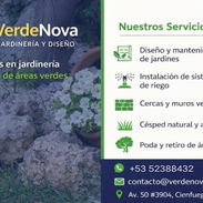 Servicios de Jardinería y Limpieza de exteriores - Img 55730609