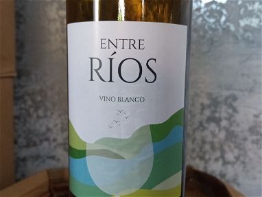 Vino blanco Español - Img 66904336