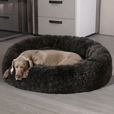Camas para perros - Img 125237729
