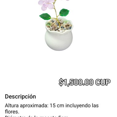 Regalos para mamá - Img 120337560