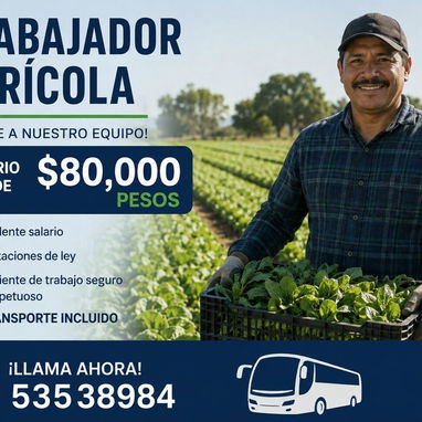 Gestión Z Agencia de Empleo - 10/10