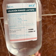 Solución RINGER lactato .Culeros para cachorros 🐶 - Img 56092503