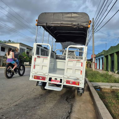 Triciclo de combustión Lifan 250cc de carga y paseo - 4/7