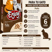Comida para gatos, pienso para gatos - Img 56587523