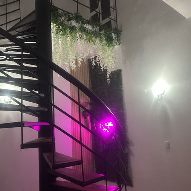 Se renta terraza en Miramar - Img 127877299