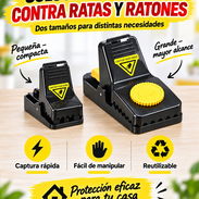 Conoce Ratoneras - Img 57695574