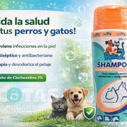 Shampoo de Clorhexidina - Img 54338898