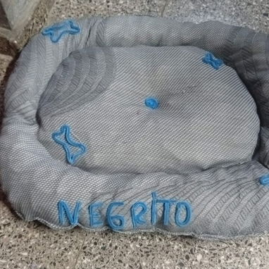 Productos para mascotas - 2/10
