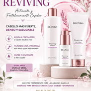 Anti caída LINEA REVIVING✨ Shampoo, Mascarilla capilar y aceite ✨ - Img 55444688