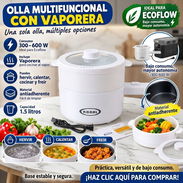 Olla multifuncional 300-600 W - Img 57515086