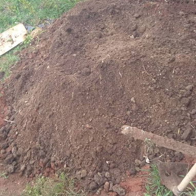 Servicio de jardinería 👩🏼‍🌾 - 10/10