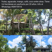 Se vende finca - Img 56217951