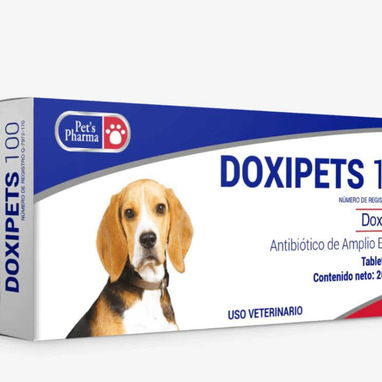 Doxiciclina Cefalexina Amoxicilina para perros y gatos - Img 114641846