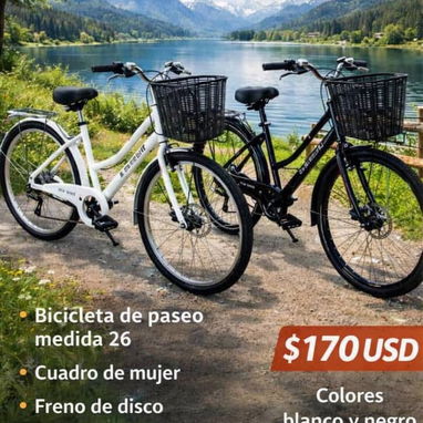 Bicicleta de paseo 26 - 3/3