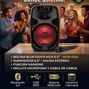 Bocina MCM 6.5" - Especial Karaoke|Bocina Bluetooth MCM 6.5 Pulgadas - Img 57684775