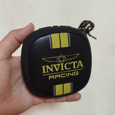 Bocina Invicta - 2/2